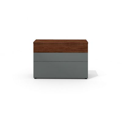 Art.Neo II Neo-33 (Дуб оул/Графит) Греденция