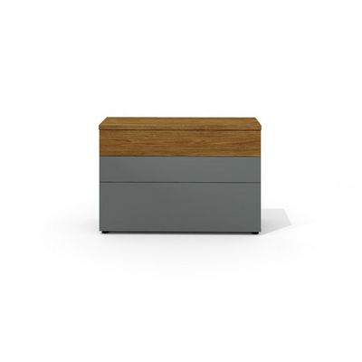 Art.Neo II Neo-33 (Дуб шале/Графит) Греденция