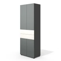 Neo-45 (Дуб фрост/Графит) Шкаф