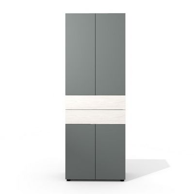 Art.Neo II Neo-45 (Дуб фрост/Графит) Шкаф