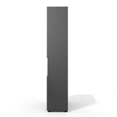 Art.Neo II Neo-45 (Дуб фрост/Графит) Шкаф