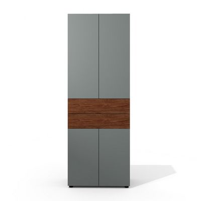 Art.Neo II Neo-45 (Дуб оул/Графит) Шкаф