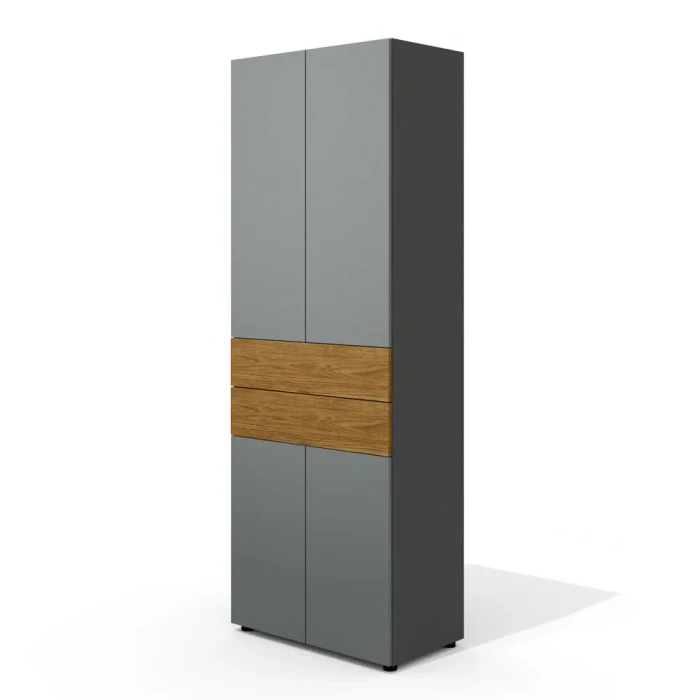 Neo-45 (Дуб шале/Графит) Шкаф