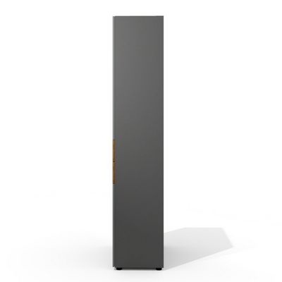 Art.Neo II Neo-45 (Дуб шале/Графит) Шкаф