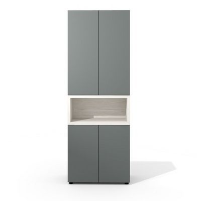 Art.Neo II Neo-47 (Дуб фрост/Графит) Шкаф