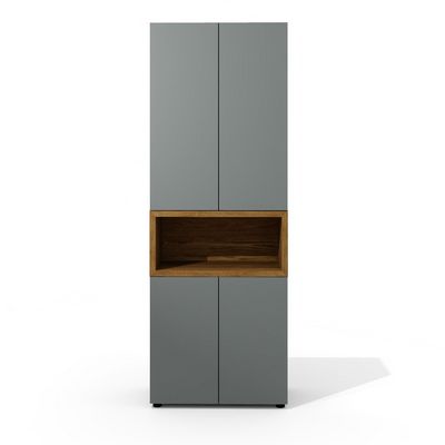 Art.Neo II Neo-47 (Дуб шале/Графит) Шкаф
