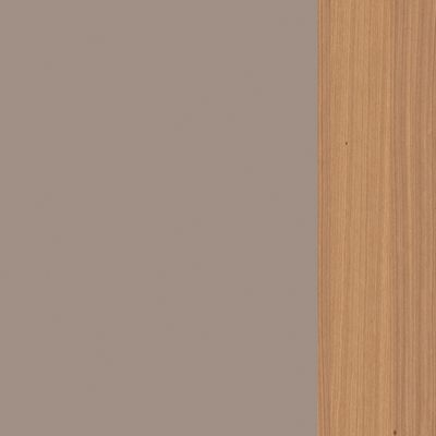 Artwood Executive AWRT107 TRBH (Тортора/Бук) Брифинг-приставка