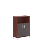 Born B-420.5 (Бургунди) Шкаф средний с малыми стеклянными дверьми