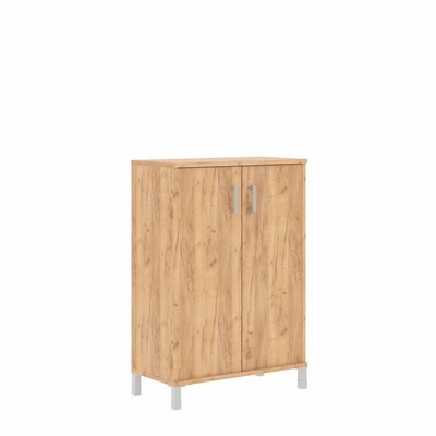 Born B-420.6 (Дуб бофорд) Шкаф средний с глухими дверьми