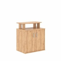 Born В 450.1 (Дуб бофорд) Фригобар