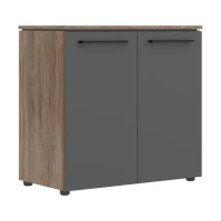MLC 85.1 (кария пальмира/антрацит) Шкаф с глухими малыми дверьми 