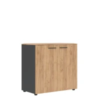 JLC 85.1 (Дуб бофорд/Антрацит) Шкаф широкий низкий