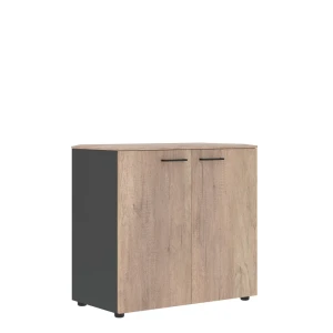 JLC 85.1 (Дуб каньон/Антрацит) Шкаф широкий низкий