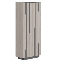 Line СФ-574401 (Дуб серый/Антрацит) Шкаф для одежды