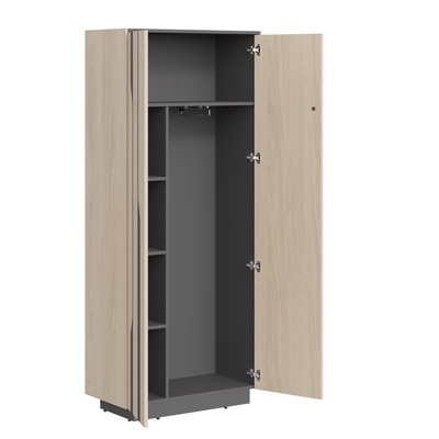 Line СФ-574401 (Дуб светлый/Антрацит) Шкаф для одежды