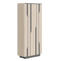 Line СФ-574401 (Дуб светлый/Антрацит) Шкаф для одежды