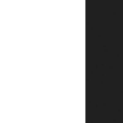 Ray Executive RYMT1412 BLAN (Белый/Антрацит) Стол для совещаний