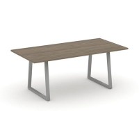 Style Project Direct SN-6T1.SPRG-198.3 (Вяз благородный/металл Серый) Стол переговорный