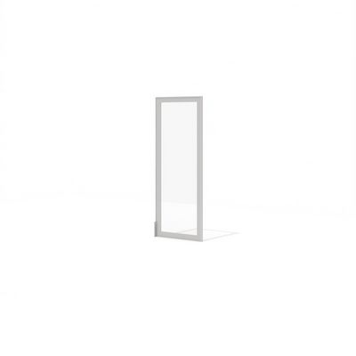 Time.S Ts-08.1 (Серебристый матовый) Дверь средняя стеклянная, универсальная