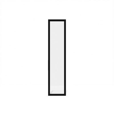 Time.S Ts-09.1 (Черный матовый) Дверь высокая стеклянная, универсальная