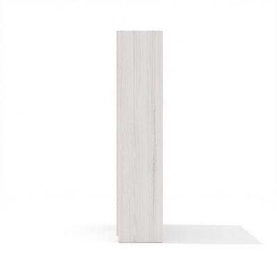 Time.S Ts-48+Ts-09.1 (Дуб эльза) Шкаф для одежды со стеклянными фасадами