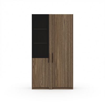 Time.S Ts-48+Ts-7.1+Ts-08.2 (Палдао) Шкаф для одежды со стеклянными и ЛДСП фасадами