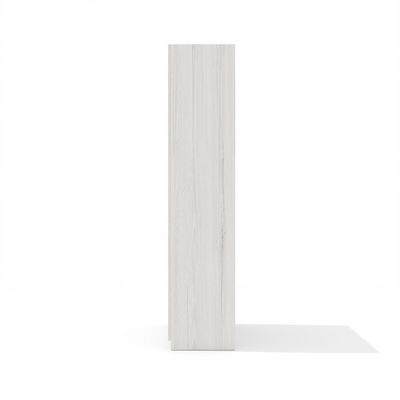 Time.S Ts-48+Ts-9.1 (Дуб эльза) Шкаф для одежды с ЛДСП фасадами