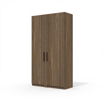 Time.S Ts-48+Ts-9.1 (Палдао) Шкаф для одежды с ЛДСП фасадами
