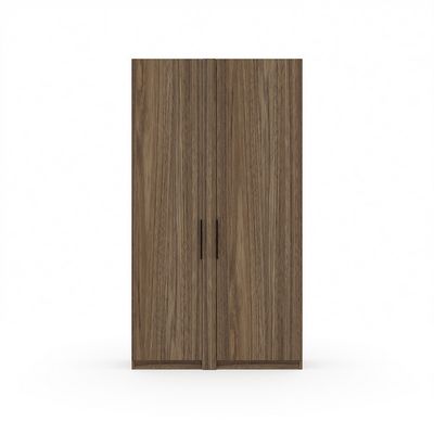 Time.S Ts-48+Ts-9.1 (Палдао) Шкаф для одежды с ЛДСП фасадами