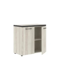 Torr TLC 85.1 (Сосна эдмонт) Шкаф с глухими малыми дверьми и топом