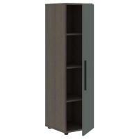 Velion VMCS 40.1 (Дуб сильвер/Нефрит) Шкаф-колонка с глухой средней дверью