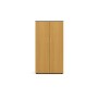 Агат А-25 (Ольха) Шкаф закрытый