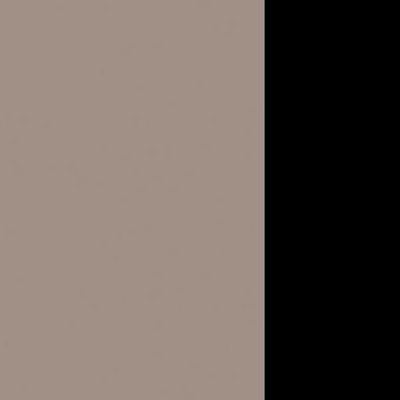 Arena ARN2TL147 TRNR (Тортора/Черный) Составной стол на 2 рабочих места, металлические аутлеты