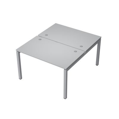 Avance 6МБ.5278 (Серый арктик/алюминий матовый) Бенч-система на 2 рабочих места