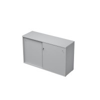 Avance 6ШКЗ.011 (Серый арктик) Шкаф-купе с замком