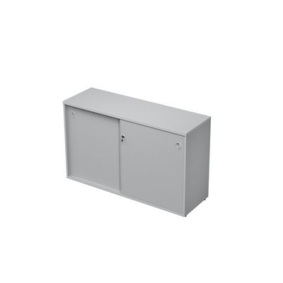 Avance 6ШКЗ.011 (Серый арктик) Шкаф-купе с замком