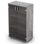 Avance 6Ш.017.3 (basalt) Шкаф для документов средний со стеклом