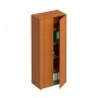 Формула ФР 308 (Ольха европейская) Шкаф для документов закрытый