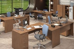 Мебель Imago орех французский