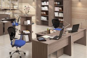 Мебель Imago ясень шимо