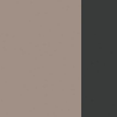 Polo PEN2TS148 TRAN (Тортора/Антрацит) Составной стол на 2 рабочих места