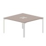 Ray RY2TL147 TRBL (Тортора/Белый) Составной стол на 2 рабочих места, 2 металлических аутлета