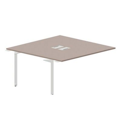 Ray RY2TPL168 TRBL (Тортора/Белый) Приставной стол на 2 рабочих места, 2 металлических аутлета