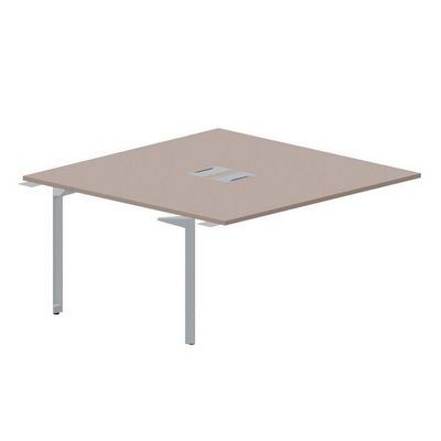 Ray RY2TPL168 TRTI (Тортора/Титан) Приставной стол на 2 рабочих места, 2 металлических аутлета