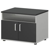 Смарт СМТ-2ДН Тип2 (Белый/Графит) Тумба под МФУ