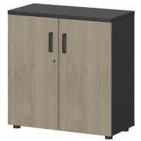 Смарт СМШ-28Д2 Тип1 (Графит/Кронберг) Шкаф закрытый