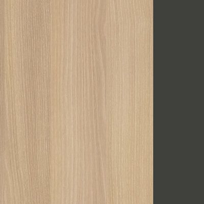 Style Project Fusion SN-4T1.BR-001 (Акация лорка/Антрацит) Брифинг приставка