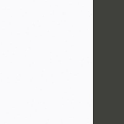 Style Project Fusion SN-4T1.BR-001 (Белый/Антрацит) Брифинг приставка