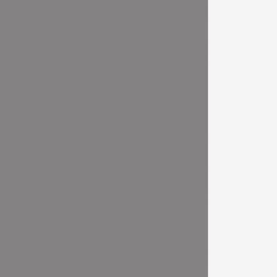 Стайл Проджект Фьюжн SN-6T2.SP-001 (Серый пепел/Белый) Стол письменный