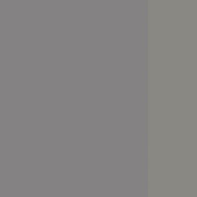 Стайл Проджект Фьюжн SN-4T2.SP-003 (Серый пепел/Серый) Стол письменный